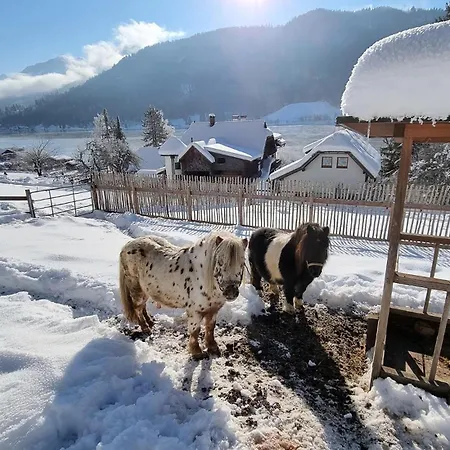 펜션 Seeliebe Kaernten *